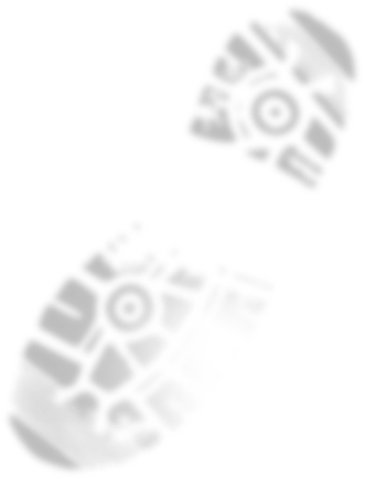 Imagen de una pisada